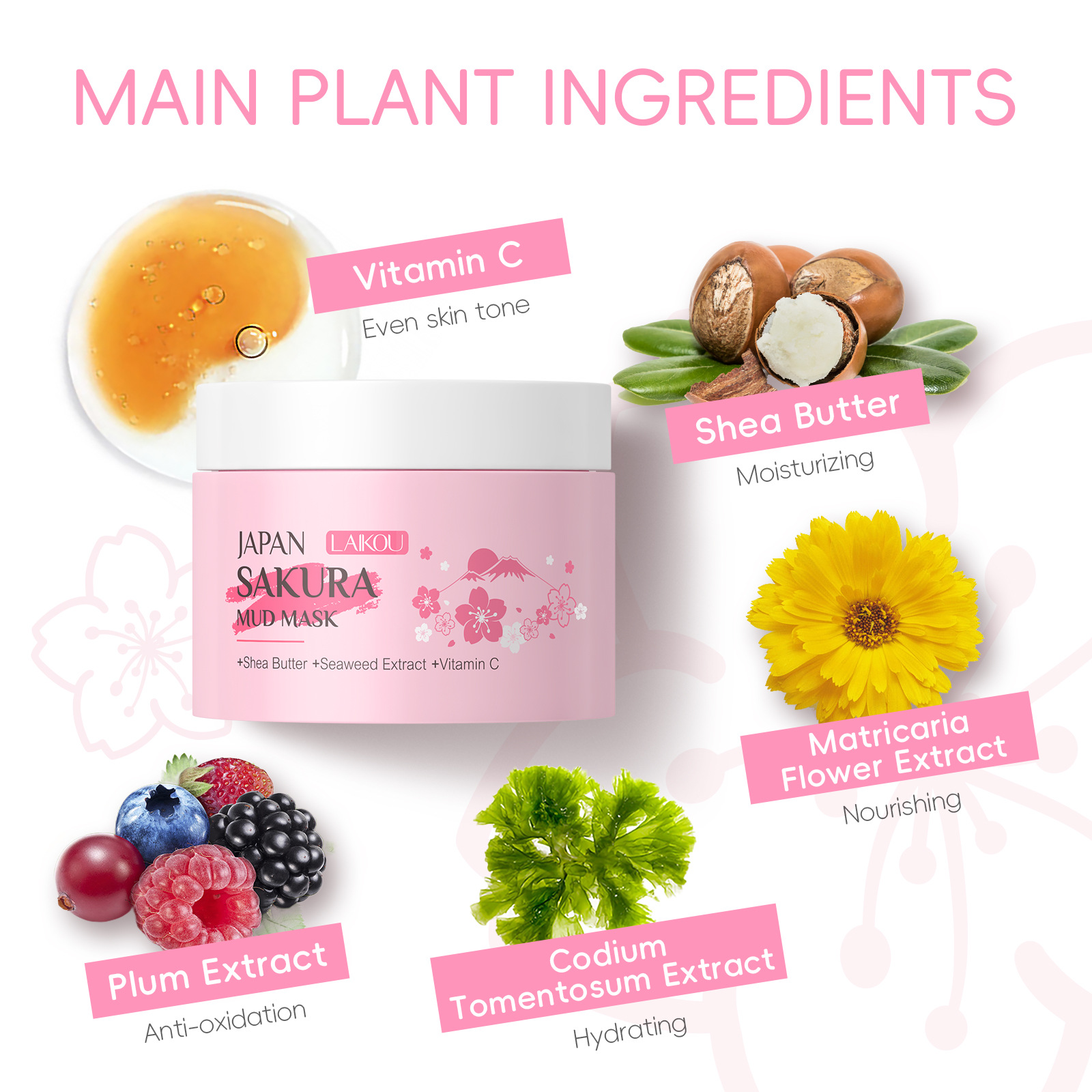 LAIKOU Sakura Clay Mask 25g 90 - огляд і ціна Dust Mask Construction