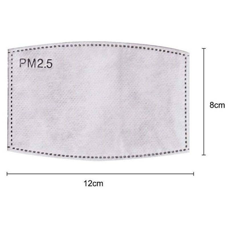 2PCS Mask Filter Element PM2.5 - огляд і ціна Pm2.5 Filter Insert